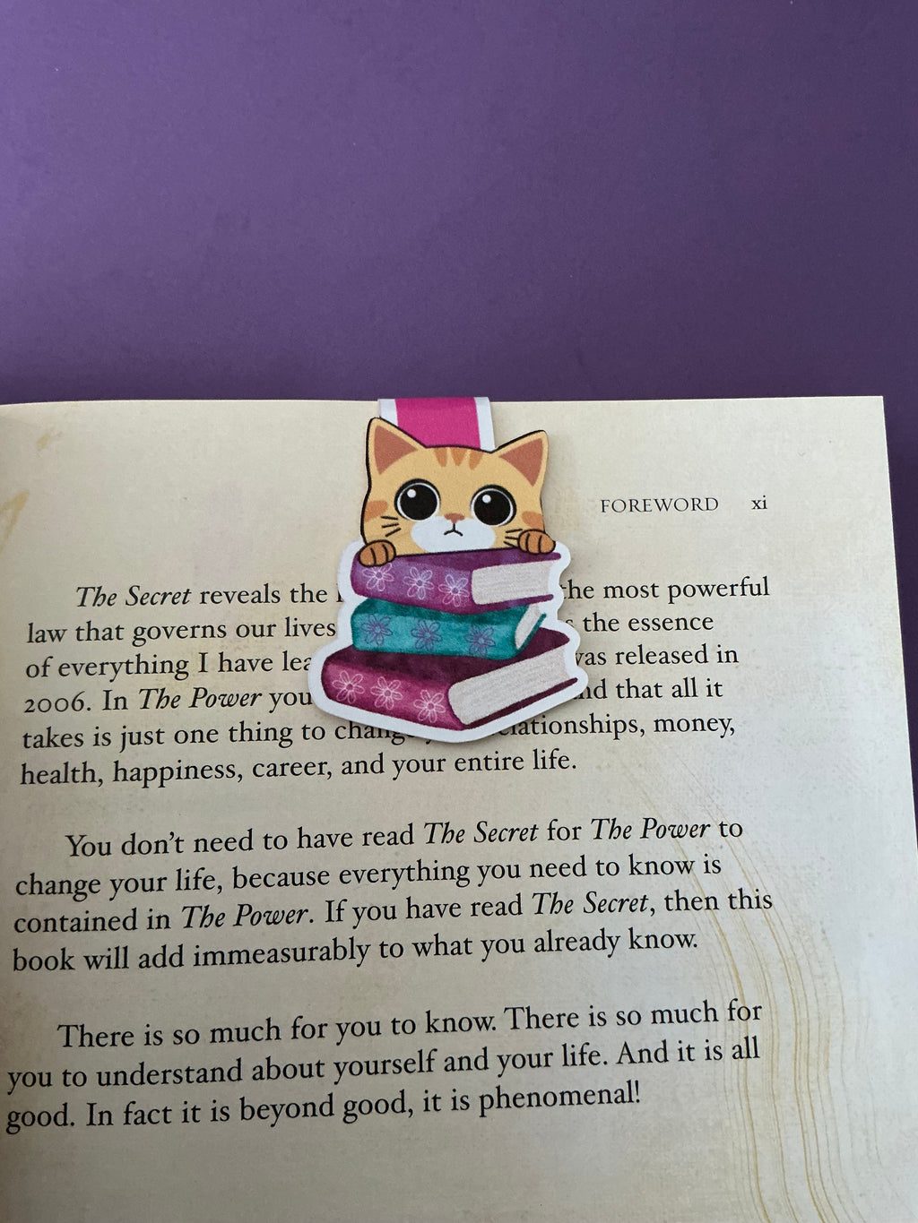 Cat Lover Book Stack Magnetic Bookmark