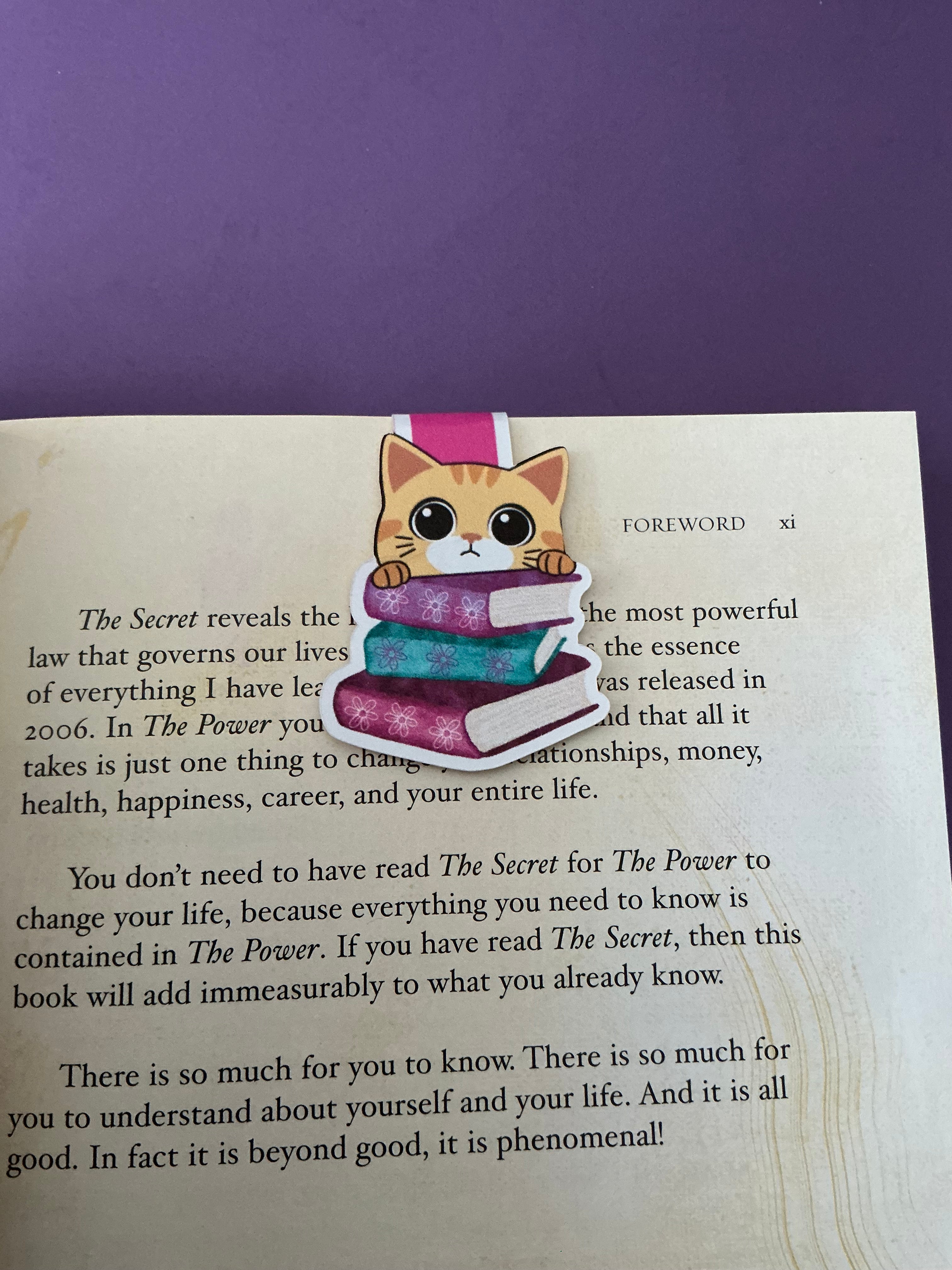 Cat Lover Book Stack Magnetic Bookmark