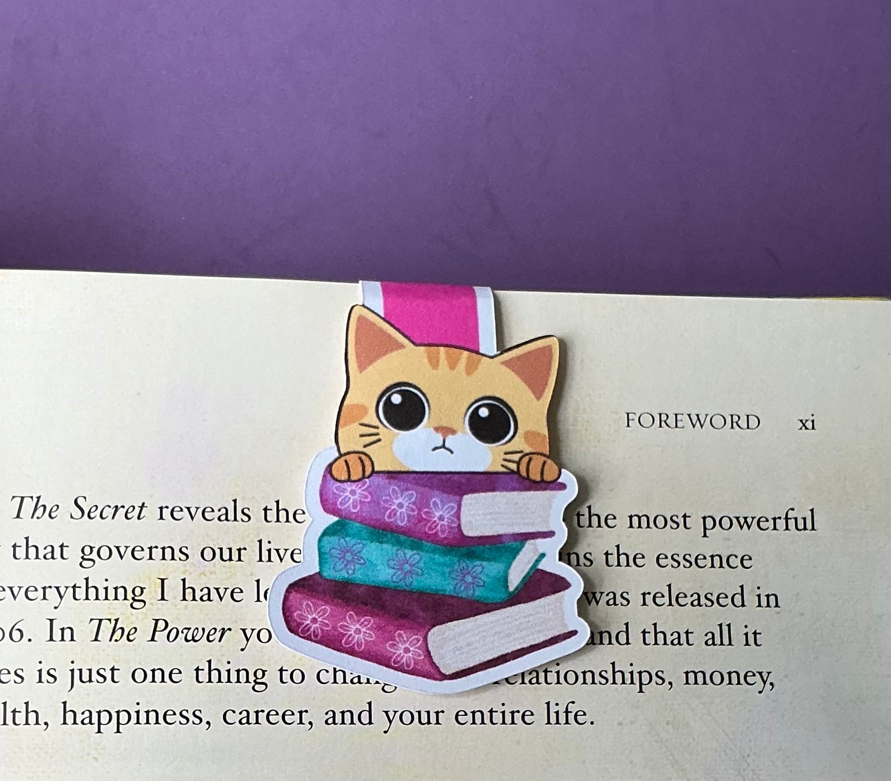 Cat Lover Book Stack Magnetic Bookmark