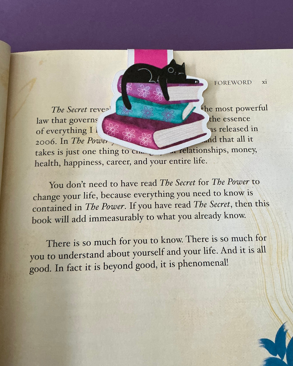 WinkiKitty Book Stacks Magnetic Bookmark