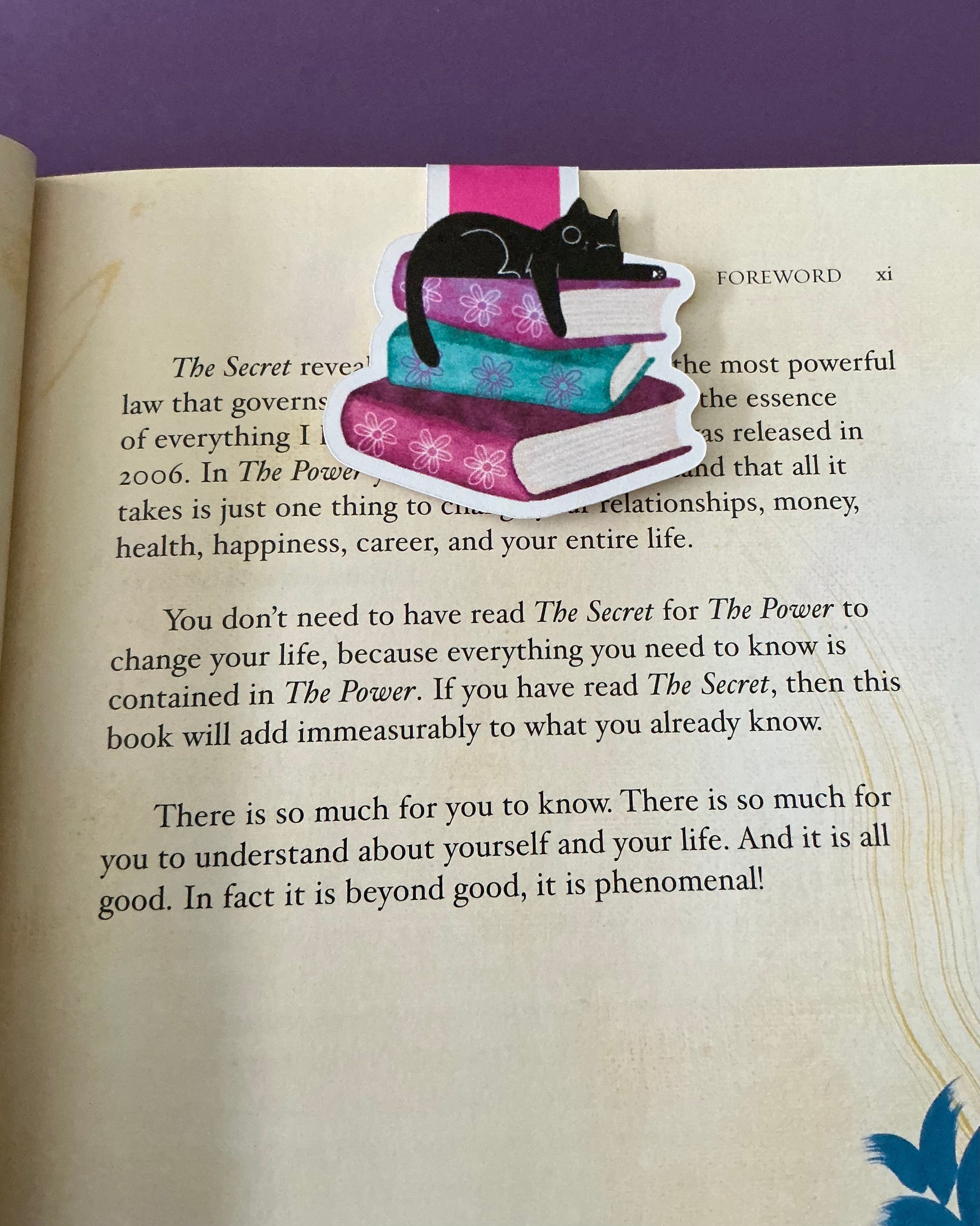 WinkiKitty Book Stacks Magnetic Bookmark