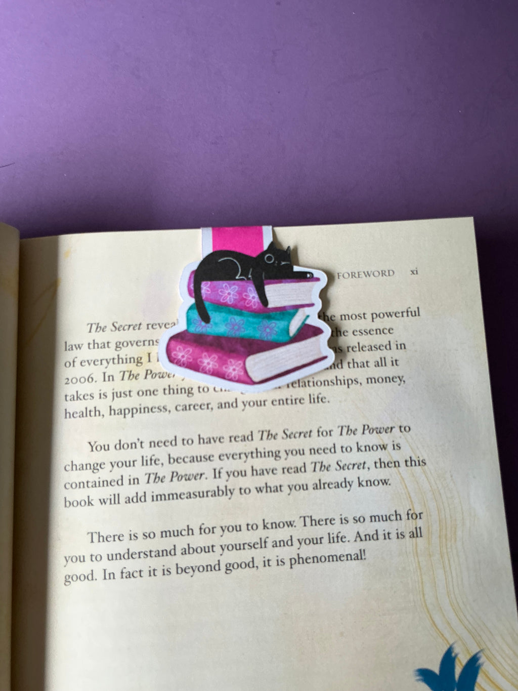 WinkiKitty Book Stacks Magnetic Bookmark