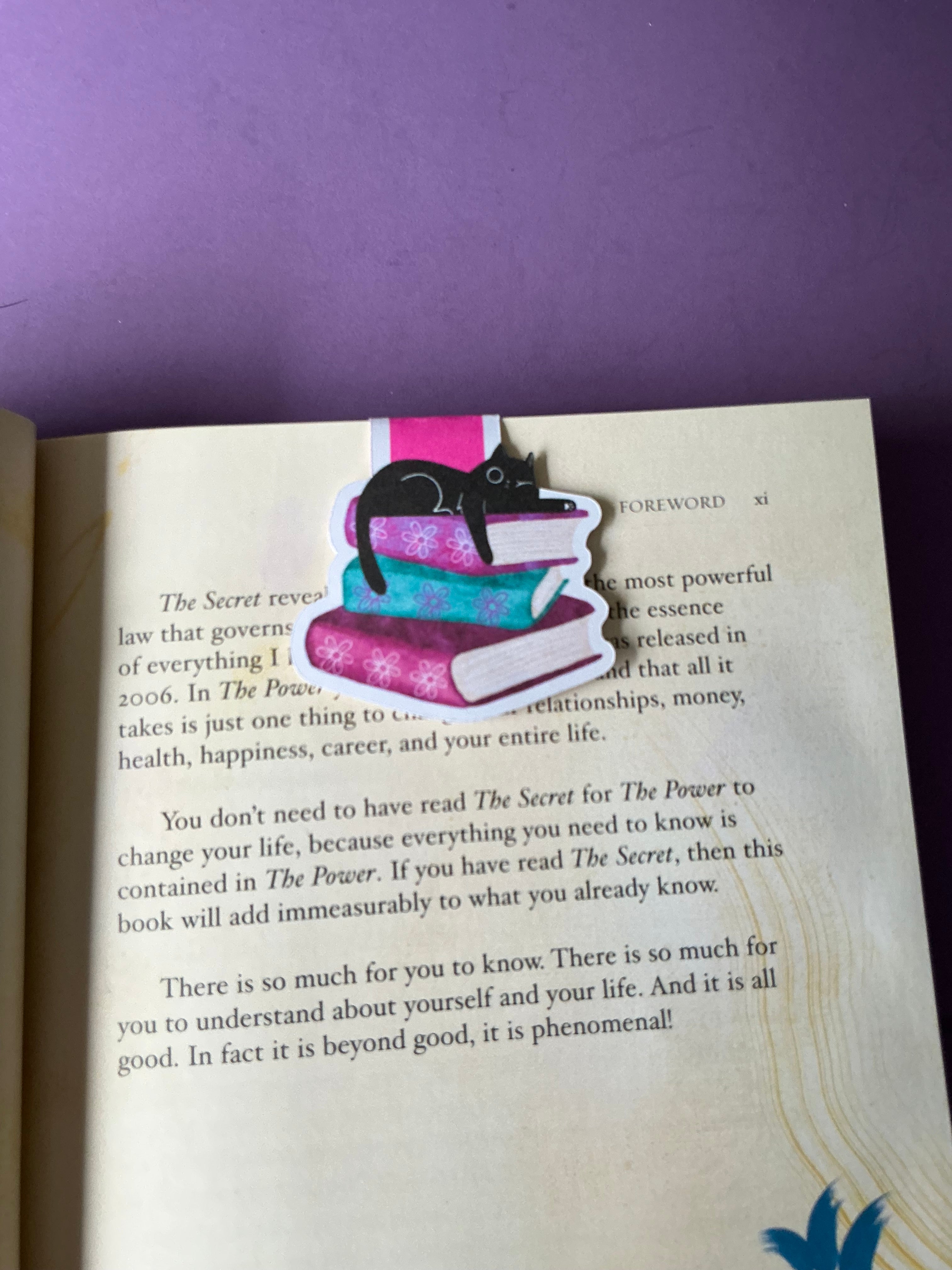 WinkiKitty Book Stacks Magnetic Bookmark