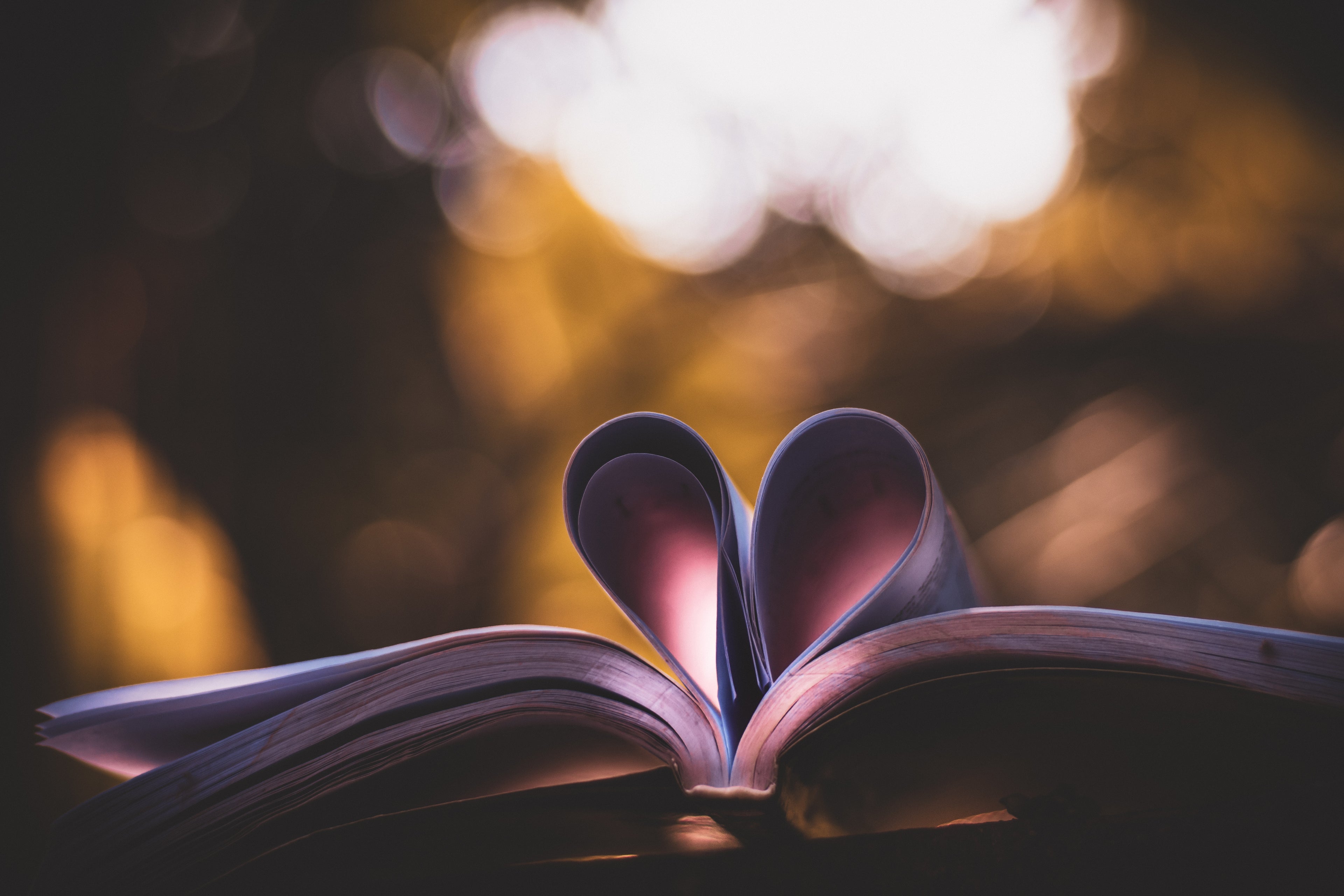 MONTHLY BOOK LOVER CLUB